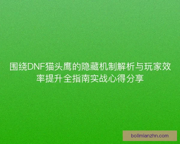 围绕DNF猫头鹰的隐藏机制解析与玩家效率提升全指南实战心得分享