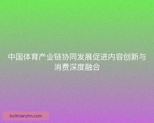 中国体育产业链协同发展促进内容创新与消费深度融合